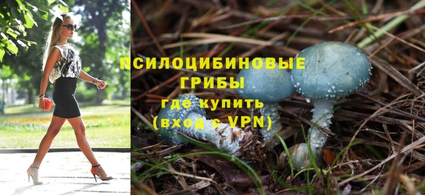 ПСИЛОЦИБИНОВЫЕ ГРИБЫ Балахна