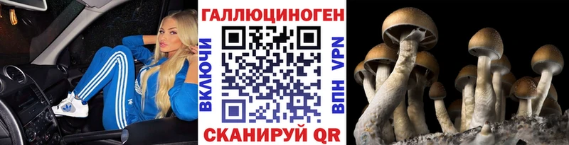 Купить закладки  Болхов  Галлюциногенные грибы мицелий 